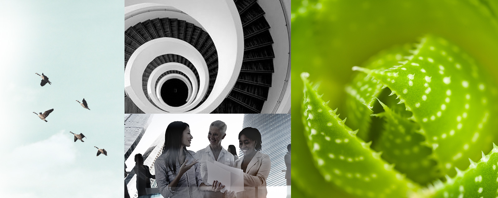 Case study banner